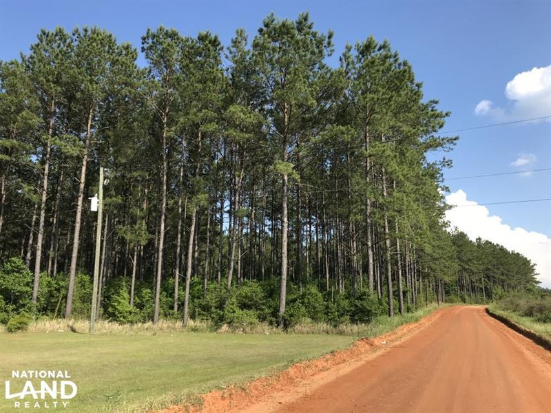 Roberts Road Kelly Trail Timber Hun : Chunchula : Mobile County : Alabama
