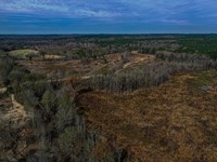 Webster County 125.59 Acres : Eupora : Webster County : Mississippi