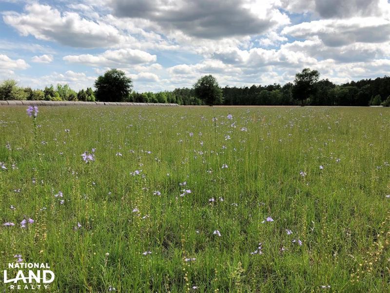 Restful Acres Farm : Ridgeland : Jasper County : South Carolina