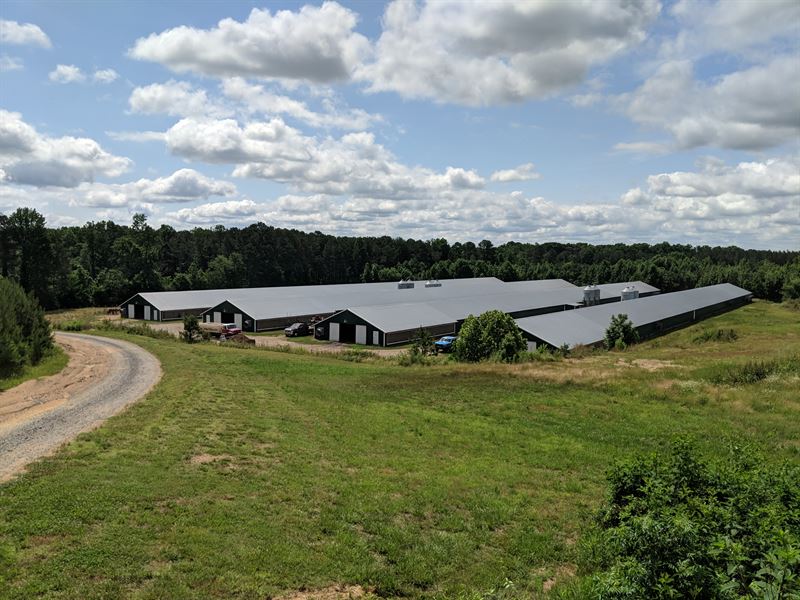 SoldTimber Ranch Poultry Farm, Farm for Sale in 150633