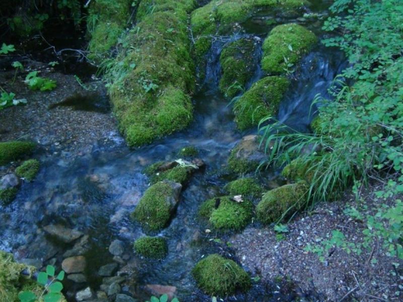 Stratton Creek 80 : Merlin : Josephine County : Oregon