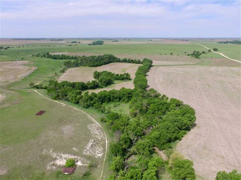 150 Acres of Hunting and Tilla : Luray : Russell County : Kansas