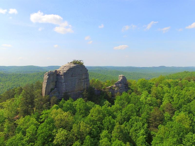 1000 Acres Of Pristine Nature : Jamestown : Pickett County : Tennessee