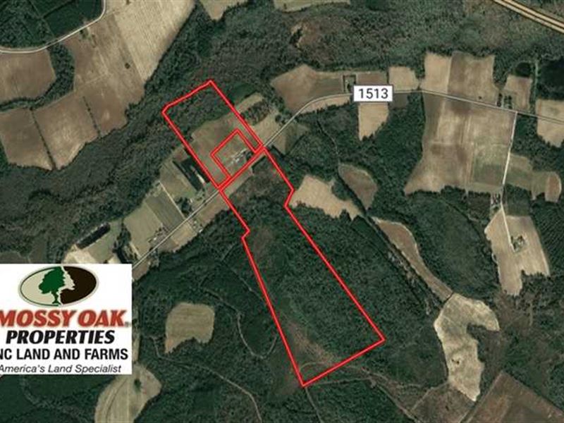 Reduced, 127.86 Acres of Farm And : Evergreen : Columbus County : North Carolina
