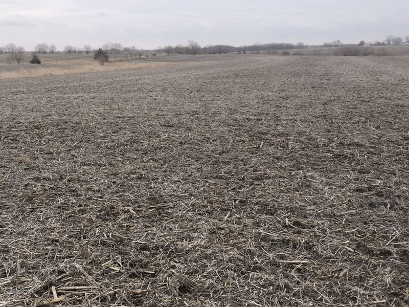 17 M/L Acres for Sale in Appanoose : Cincinnati : Appanoose County : Iowa