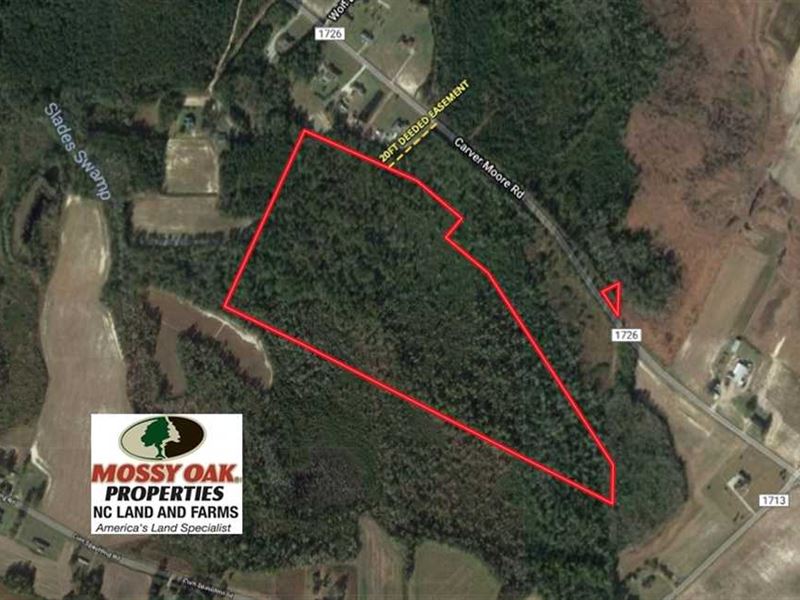 43 Acres of Hunting and Timber Lan : Clarkton : Columbus County : North Carolina