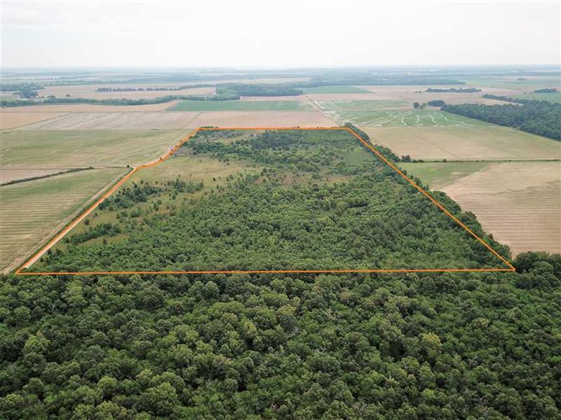 80 Acre Hunting Property Near Cla, Farm for Sale in Arkansas, 150992