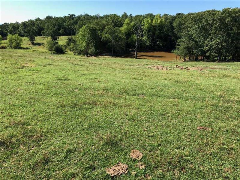 30 Acres in Ozark, AR : Ozark : Franklin County : Arkansas