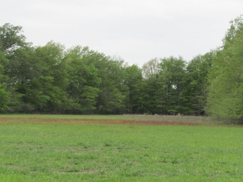 81 Acres in Quitman County in Marks, Farm for Sale in Mississippi, 151353 FARMFLIP
