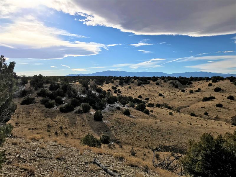 Hatchet Ranch Parcels 109 & 1, Farm for Sale in Colorado, 151400 FARMFLIP