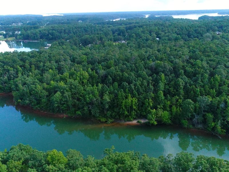 Lake Hartwell Frontage Farm for Sale in Townville, Anderson County