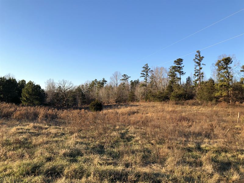 Spring Fed Pond, Pasture Farm for Sale in Fair Play, Oconee County