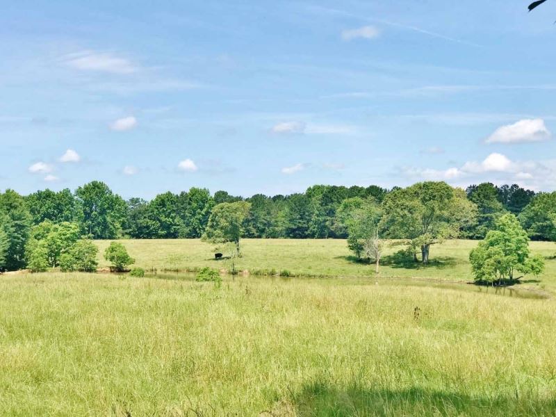 74 Acres Pasture Land For Sale Mize Farm for Sale in Mize, Smith