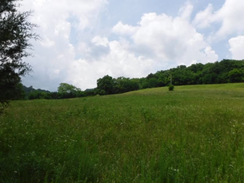 28 Acres, Views, Country Location : Liberty : Dekalb County : Tennessee
