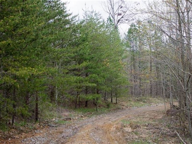 Tennessee, Sequatchie County, Farm for Sale by Owner in Tennessee