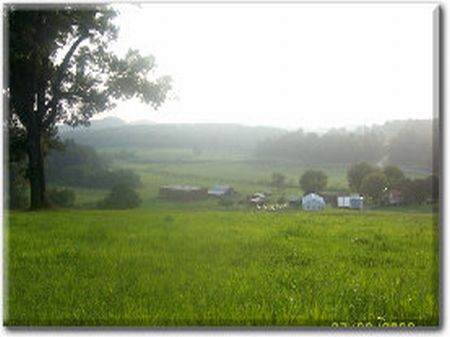 Gentlemans Farm Near Asheville, Nc : Charlotte : McDowell County : North Carolina