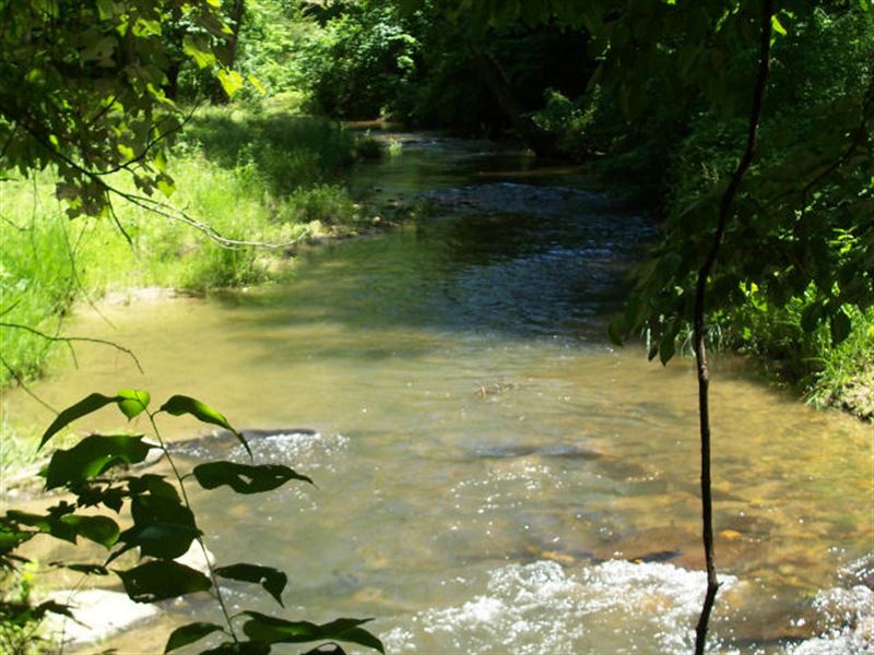 North Georgia Mountain Creek : Ellijay : Gilmer County : Georgia