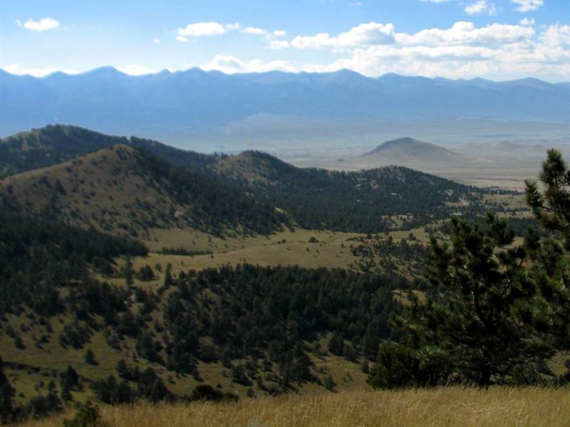 Tyndall Mountain Mining Claims : Westcliffe : Custer County : Colorado