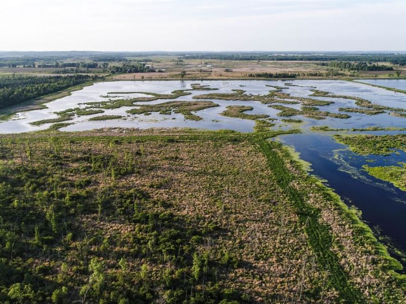 Premier Duck Hunting Property, Farm for Sale in Wisconsin, 152358