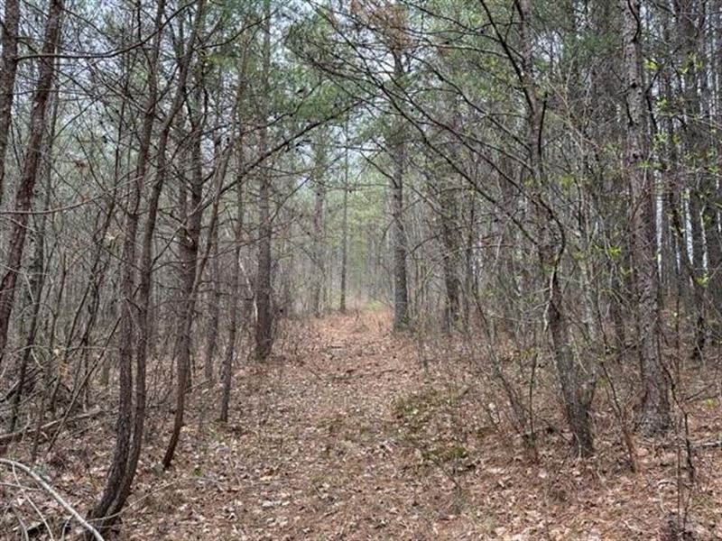 21.29 Acres Unrestricted Near Fal : Dunlap : Sequatchie County : Tennessee