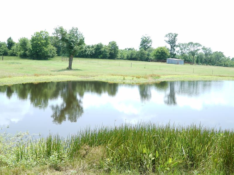 7 Grimes County Acres For, Farm for Sale in Texas, 152434
