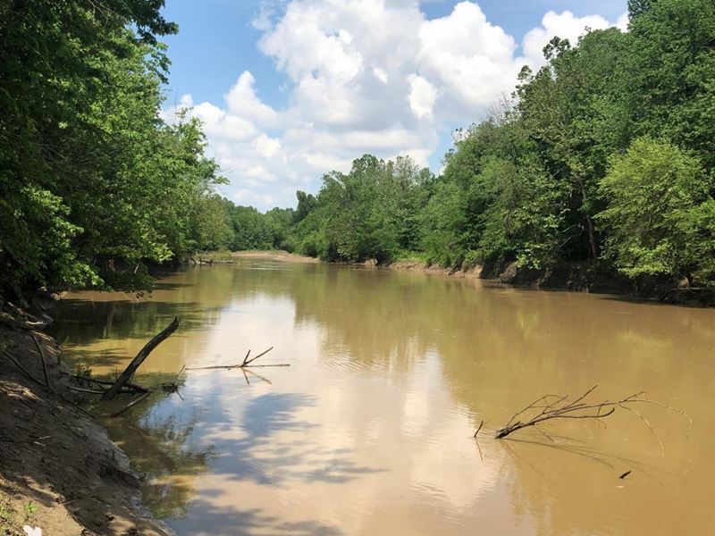 St. Francis River Levee Tract : Piggott : Clay County : Arkansas