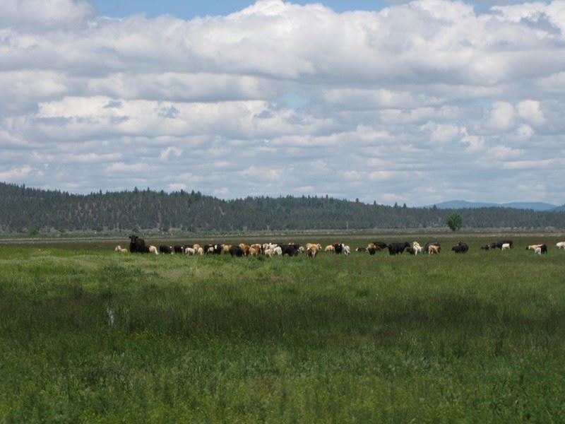 338+ Acre Langell Valley Ranch, Farm for Sale in Oregon, 152480 FARMFLIP