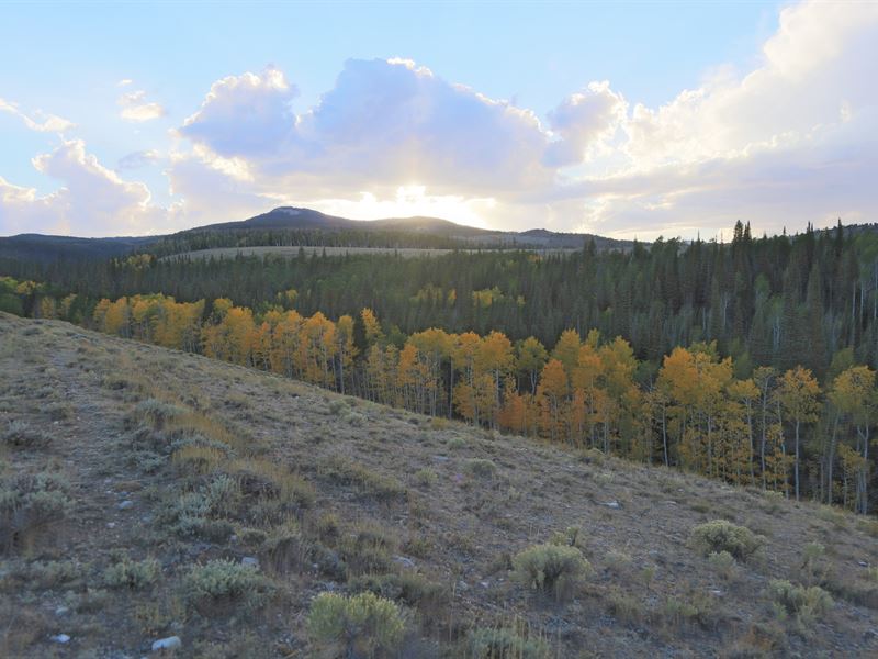 Encampment Ranch, Farm for Sale in Wyoming, 152558 FARMFLIP