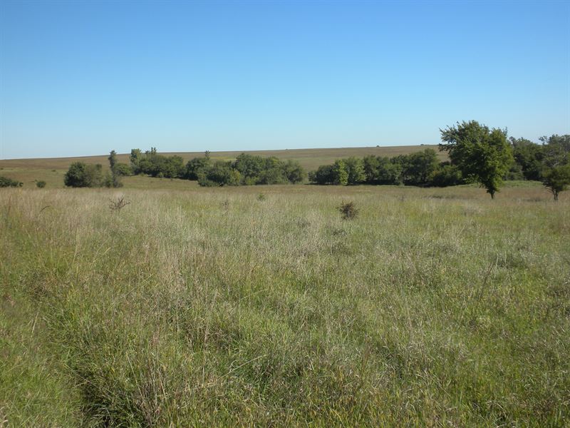 Greener Pastures : Allen : Lyon County : Kansas