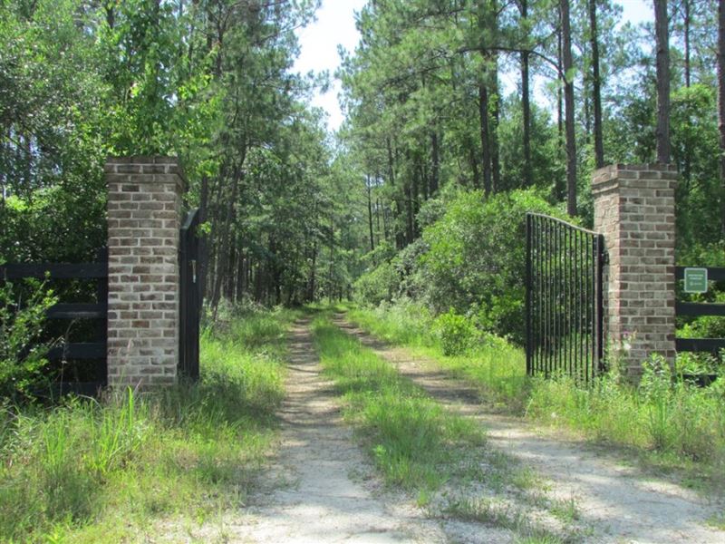 French Quarter Creek Tract : Charleston : Berkeley County : South Carolina