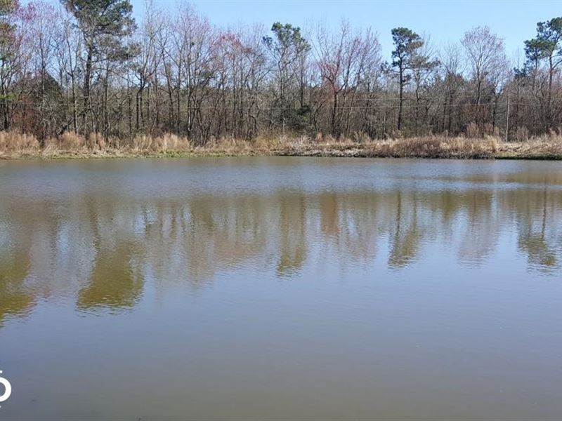 Piney Woods Road Land for Sale, Farm for Sale in North Carolina