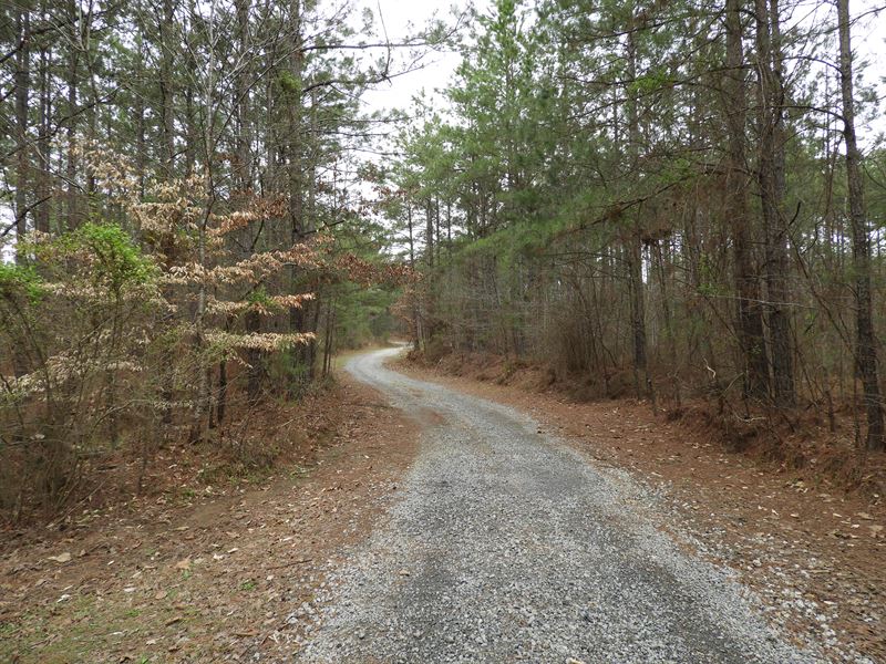 Douthit Bridge Road : Cartersville : Bartow County : Georgia