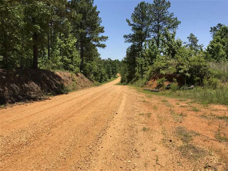 240 Acres Timber / Recreation Prope : West Point : Clay County : Mississippi