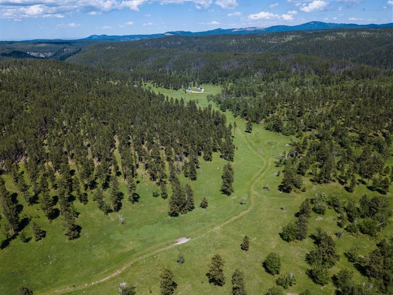 Geranium Park Ranch : Lead : Lawrence County : South Dakota