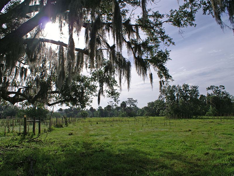 Lazy W Ranch in Felda, Florida, Farm for Sale in Florida, 153392