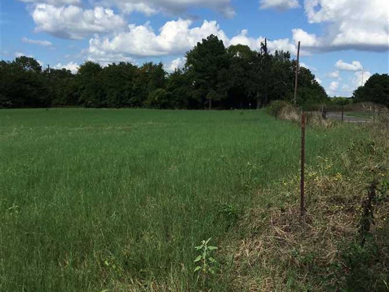 41 Acres of Mixed Timber and Pastu : Jacksonville : Cherokee County : Texas