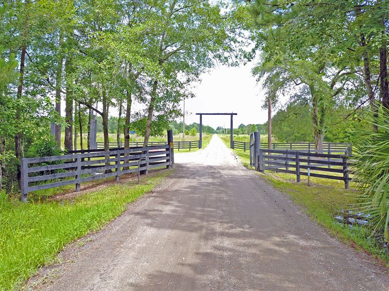 106.89 Acres Wildlife Way Farm for Sale in Callahan, Nassau County
