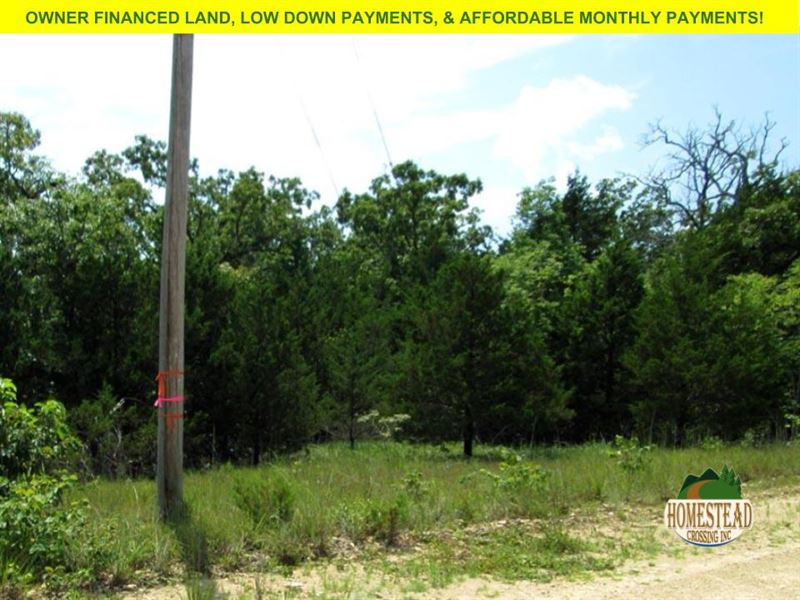 Wonderful Property with Electric : Gainesville : Ozark County : Missouri