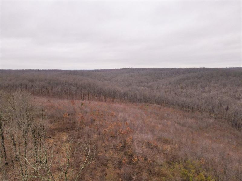 871 Acres for Sale in Wayne Coun : Wappapello : Wayne County : Missouri