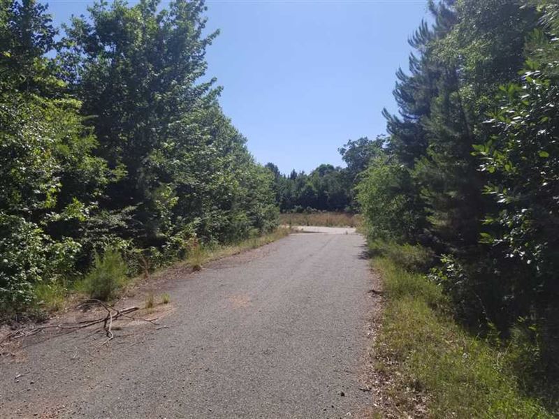 Phillips Timber Tract, Miller Coun : Doddridge : Miller County : Arkansas
