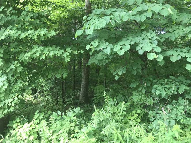 Tucker Lake Area Hunter's Paradise : Paoli : Orange County : Indiana