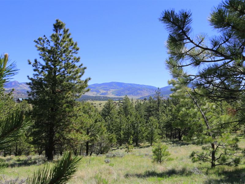 Little Land : Westcliffe : Custer County : Colorado