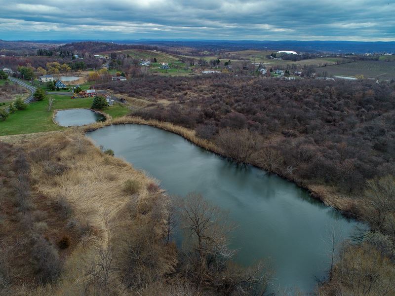 Beautiful Farm Land With Pond Farm for Sale by Owner in Milton