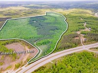 Stunning Large Property With Divers : Hohenwald : Lewis County : Tennessee