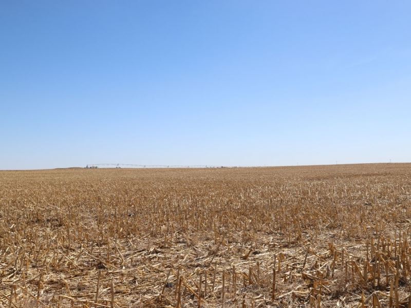 Yuma County Pivot Irrigated Land : Eckley : Yuma County : Colorado