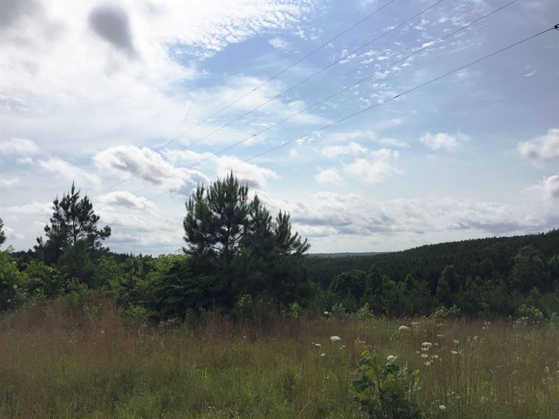 Tract 1508 : Parsons : Decatur County : Tennessee
