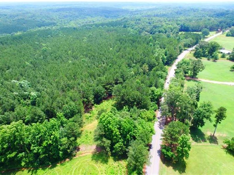 Tishomingo State Park Tract, Farm for Sale in Mississippi, 154250