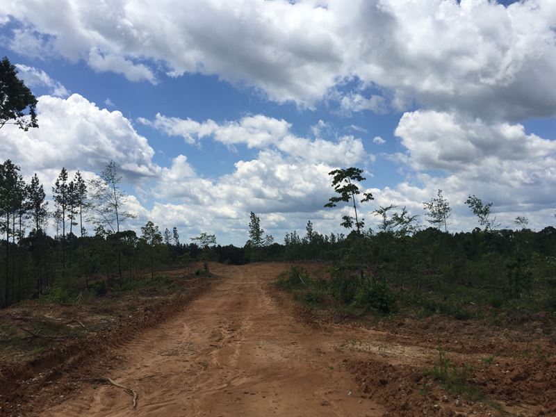 Tract 1555 : Lexington : Henderson County : Tennessee