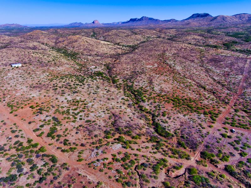 Wyatt Earp Country : Douglas : Cochise County : Arizona