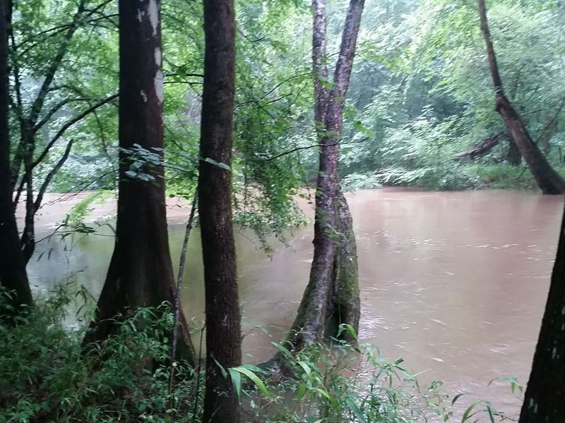 River Frontage and Valuable Timber : Clayton : Barbour County : Alabama